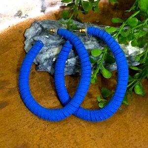 Matilda Jane / good hart suede like earrings